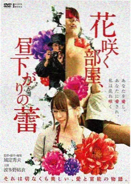 综艺娱乐在线观看 乘风破浪